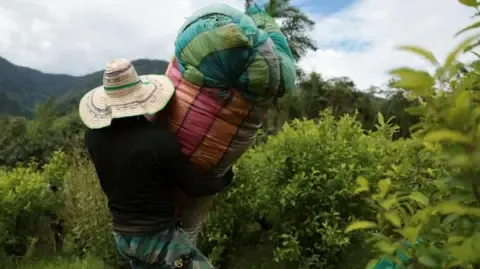 America Classifies the South American Nation as Non-Cooperative in Anti-Drug Efforts