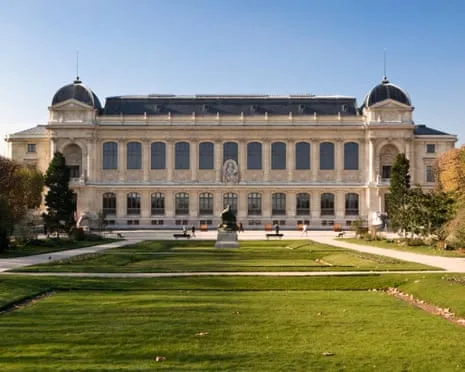 Historic Gold Specimens Taken in Daring Raid at France's National Museum